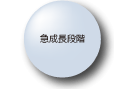 急成長段階